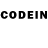 Codein напиток Lean (лин) Erkebulan M.E.E.