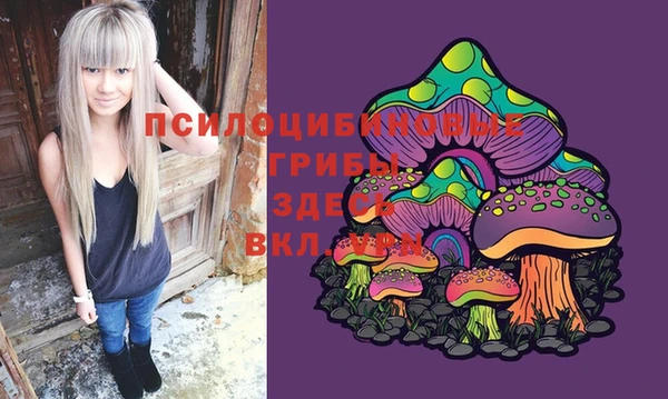 не бодяженный Ельня