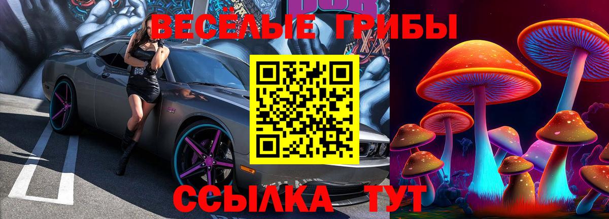 Псилоцибиновые грибы Psilocybe  Псилоцибиновые грибы ЛСД  Пятигорск  Вход с VPN 
