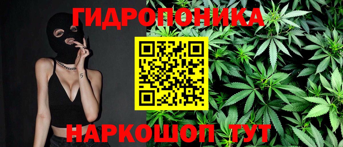 МАРИХУАНА конопля Пятигорск